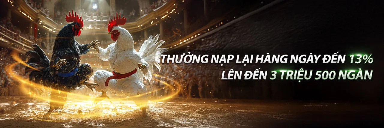 Chương trình VIP sv366 code với các đặc quyền độc quyền